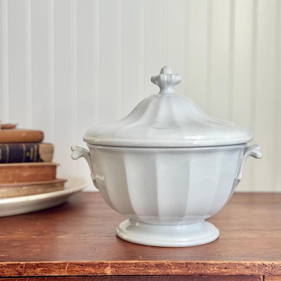 Stunning Antique English Ironstone Footed Punch Bowl With Applied ...