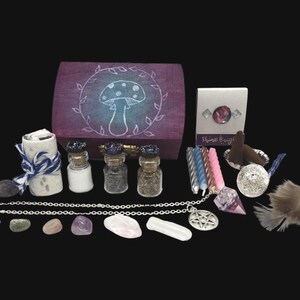 Trippy Vibes Travel Altar Kit Mushroom Toadstool Witchcraft Alter Set Hippie Witch Aesthetic Goblincore Box Discreet Portable Witches Chest