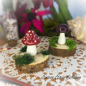 May include: Two wooden mushroom figurines with white stems and red and purple caps with white polka dots. The mushrooms are sitting on small wooden slices with green moss.