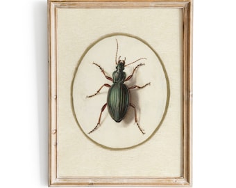 Vintage Botanical Beetle Painting, Insect Sketch Dark Academia, Cottagecore Beetle Moody Witchy Wall Art, PRINTABLE Digital Download | H303