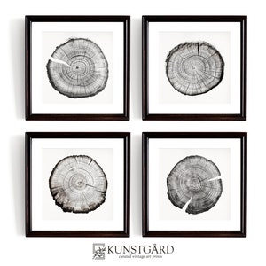 May include: Set of four black and white framed prints featuring close-up images of tree rings. The prints are arranged in a square formation.