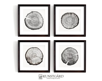 Tree Stump Print SET of 4, Tree Ring Wall Art Monochrome Wood Slice Black and White PRINTABLE Download in Square and Vertical Format | S13-4