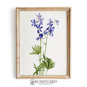 French Country Vintage Wall Art | Antique Floral Print | Blue Flower Watercolor PRINTABLE | H036