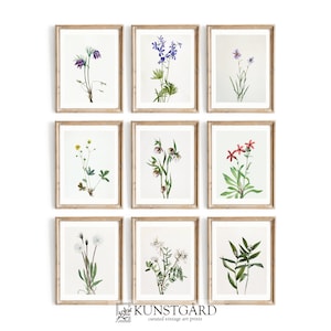 Vintage Botanical Print Set of 9, Flower Paintings, Minimalist Country Farmhouse Wall Art, Spring Wildflower PRINTABLE Gallery Wall | S1-9