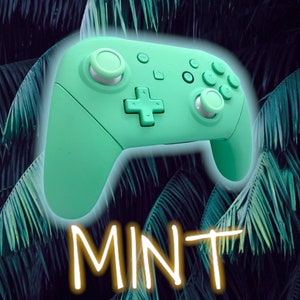 May include: A mint green Nintendo Switch controller with a white button on the left side and a white button on the right side. The controller is on a background of green palm leaves.