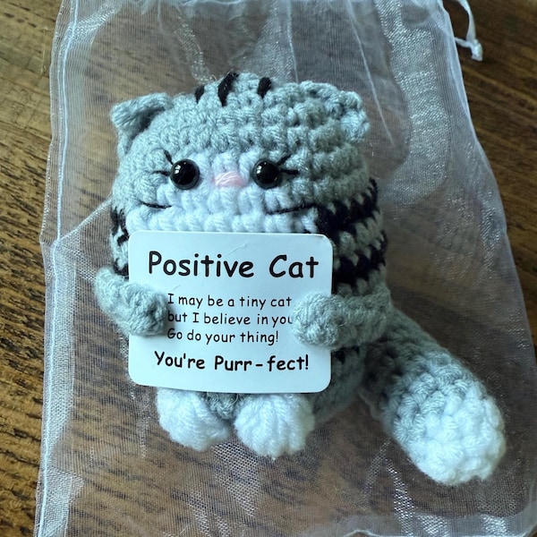Crochet Positive Cat, Cow, Penguin, Capybara, Bunny, Pencil: Positivity Thank You Gift