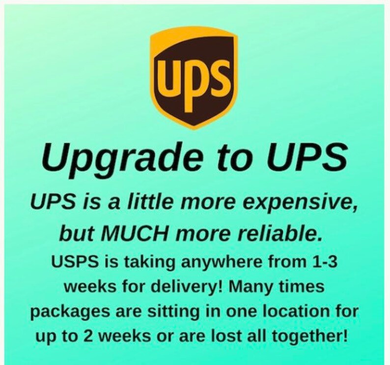 Continuous Mister Bottle Dixie Belle Paint 8oz Etsy