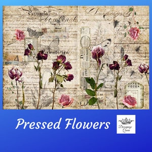 Pressed Flowers | Rice Paper Decoupage | Decoupage Queen | 2 Sizes