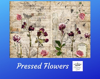 Pressed Flowers | Rice Paper Decoupage | Decoupage Queen | 2 Sizes