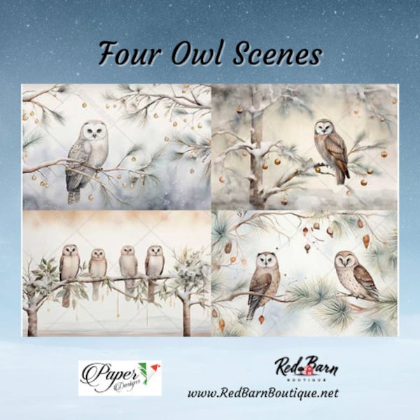 Four Owl Scenes | Rice Paper Decoupage | US Paper Designs | Animals 0213 | A4