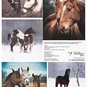 Horse Scenes TR1967 | Rice Paper Decoupage | ITD | Decoupage Paper | A4