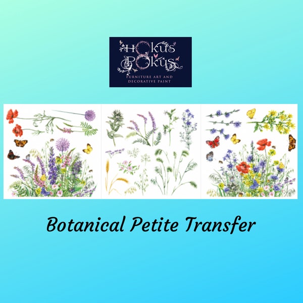 Botanical | Rub On Furniture Transfers | Hokus Pokus | Furniture Decals | 11.8" x 11.8" | 3 Sheets