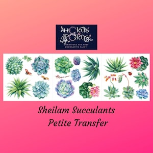 Sheilam Succulants | Transferts à frotter pour meubles | Hokus Pokus | Décalcomanies pour meubles | Petit transfert | 3 feuilles image 1