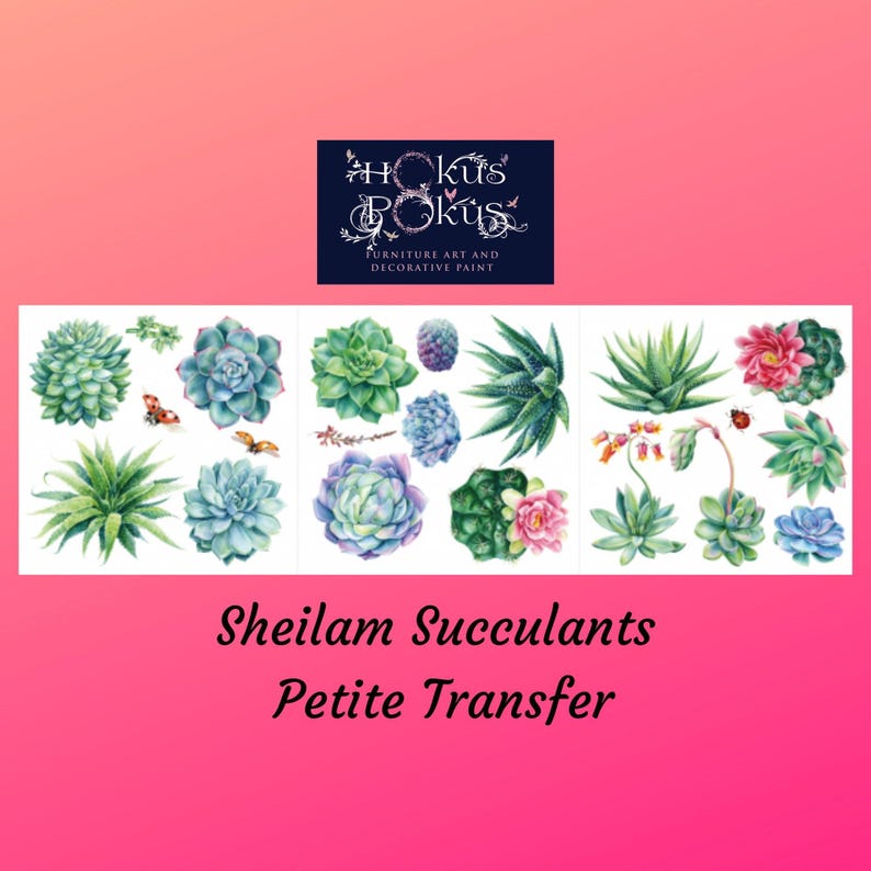 Sheilam Succulants | Transferts à frotter pour meubles | Hokus Pokus | Décalcomanies pour meubles | Petit transfert | 3 feuilles image 1