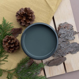 Smokey Mountains | Silk All-In-One | National Park Inspired Colors | Dixie Belle Paint Company | 2 Sizes