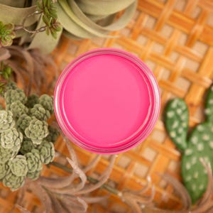 Prickly Pear 4oz | Silk All-In-One Paint | Dixie Belle Paint Company | 4oz