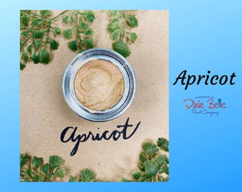 Apricot | Chameleon Wax | Dixie Belle Paint Company