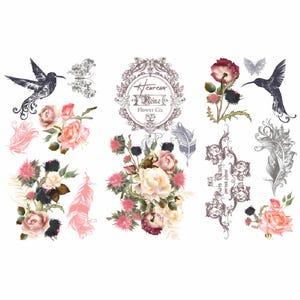 Jardin D’Oiseaux | Rub On Furniture Transfers | Hokus Pokus | Furniture Decals | 35&quot; x 23&quot;