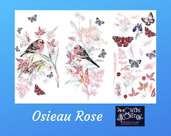 Oiseau Rose | Rub On Furniture Transfers | Hokus Pokus | Furniture Decals | 35 x 23
