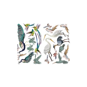 Chinoiserie 4 Images | Dixie Belle Paint Company | Belles and Whistles | Rub On Transfer For Furniture | 24&quot; x 37&quot;