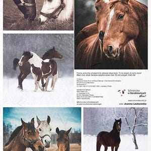Horse Scenes TR1967 | Rice Paper Decoupage | ITD | Decoupage Paper | A4