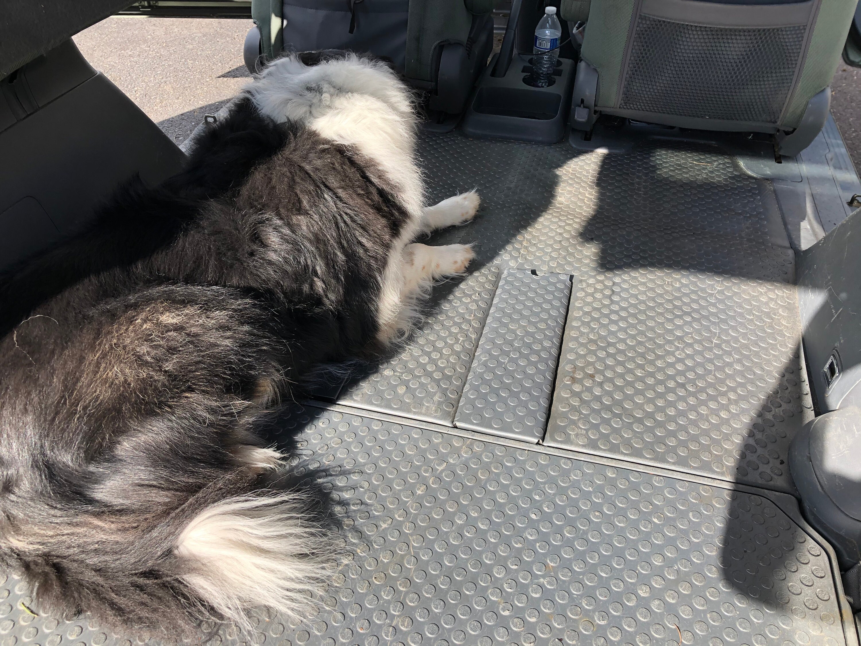 Honda Element OEM Flooringwrapped Rearseat Floorlatch Etsy