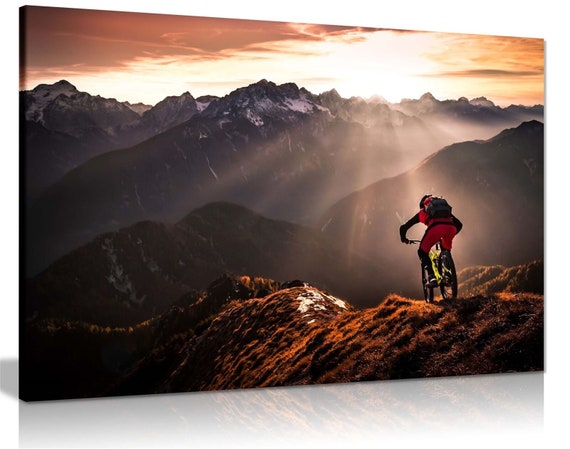 Framed mountain bikes clearance