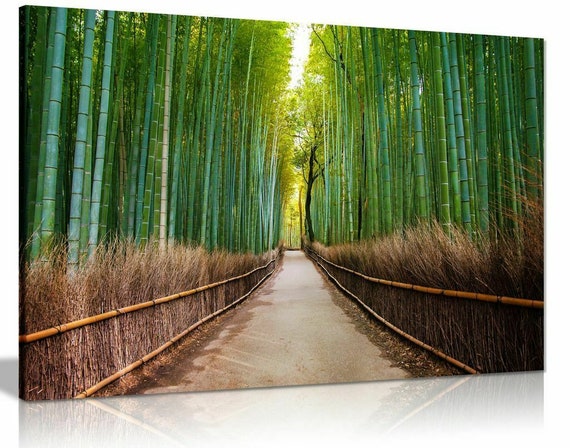Impresión de lienzo del bosque de bambú, arte de la pared de los árboles de  bambú