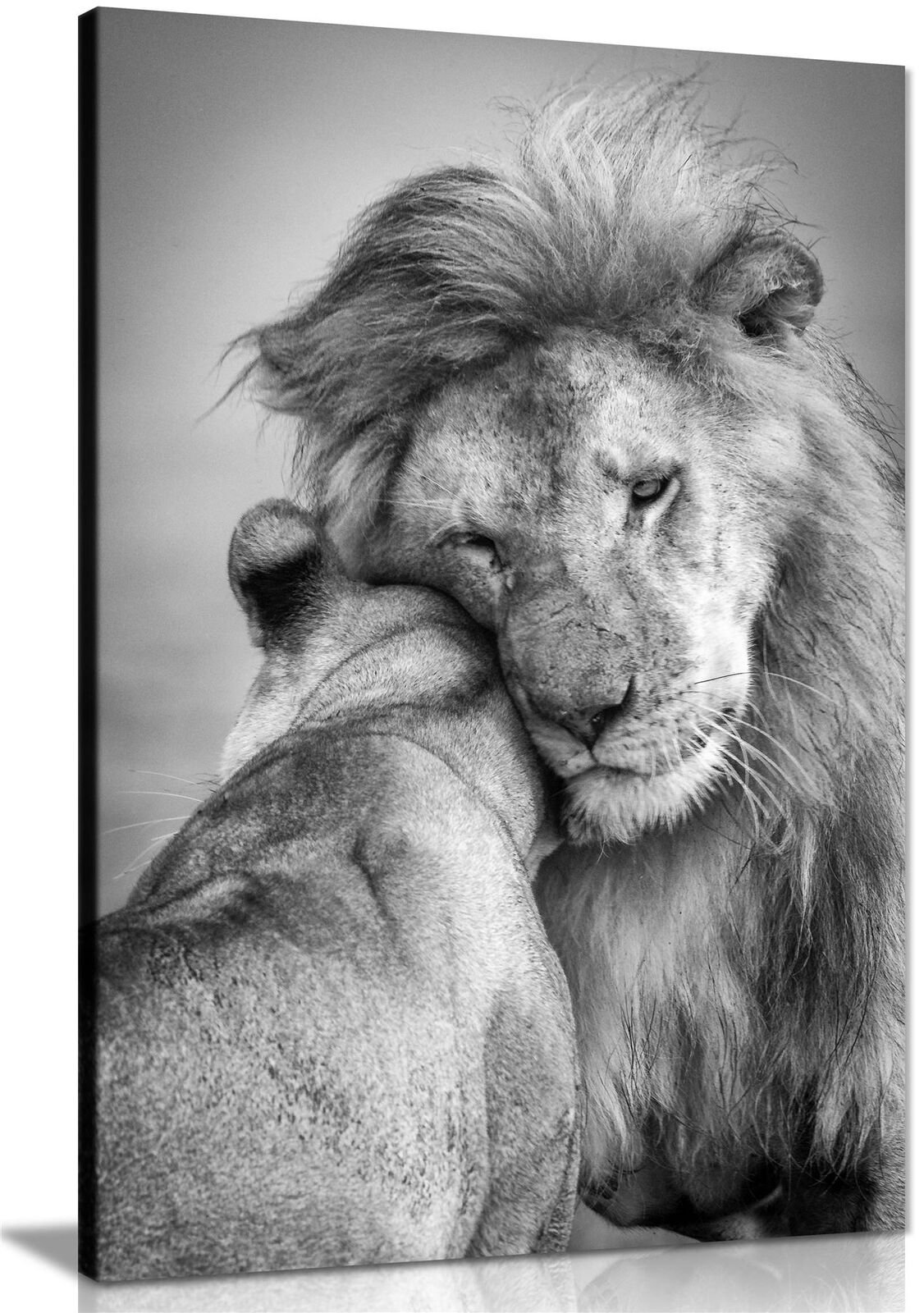 Love Lion Et Lionne Noir Et Blanc Le couple lion blanc noir et lionne aime la toile encadrée - Etsy France
