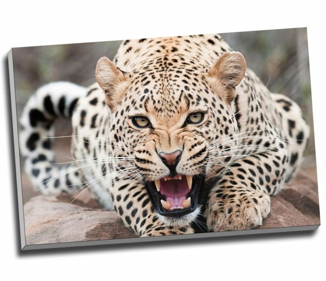 Stampa Su Tela 'Angelo Piangente Con Pantera' - Quadro 30x20 Cm, Cornice In Legno, Pronto Da Appendere