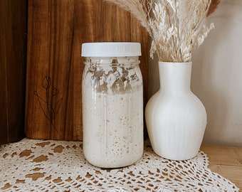 Fresh liquid Organic Sourdough Starter | not dehydrated active starter | sourdough bread | homemaking kitchen