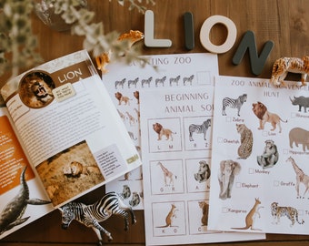 Zoo Worksheet - Etsy