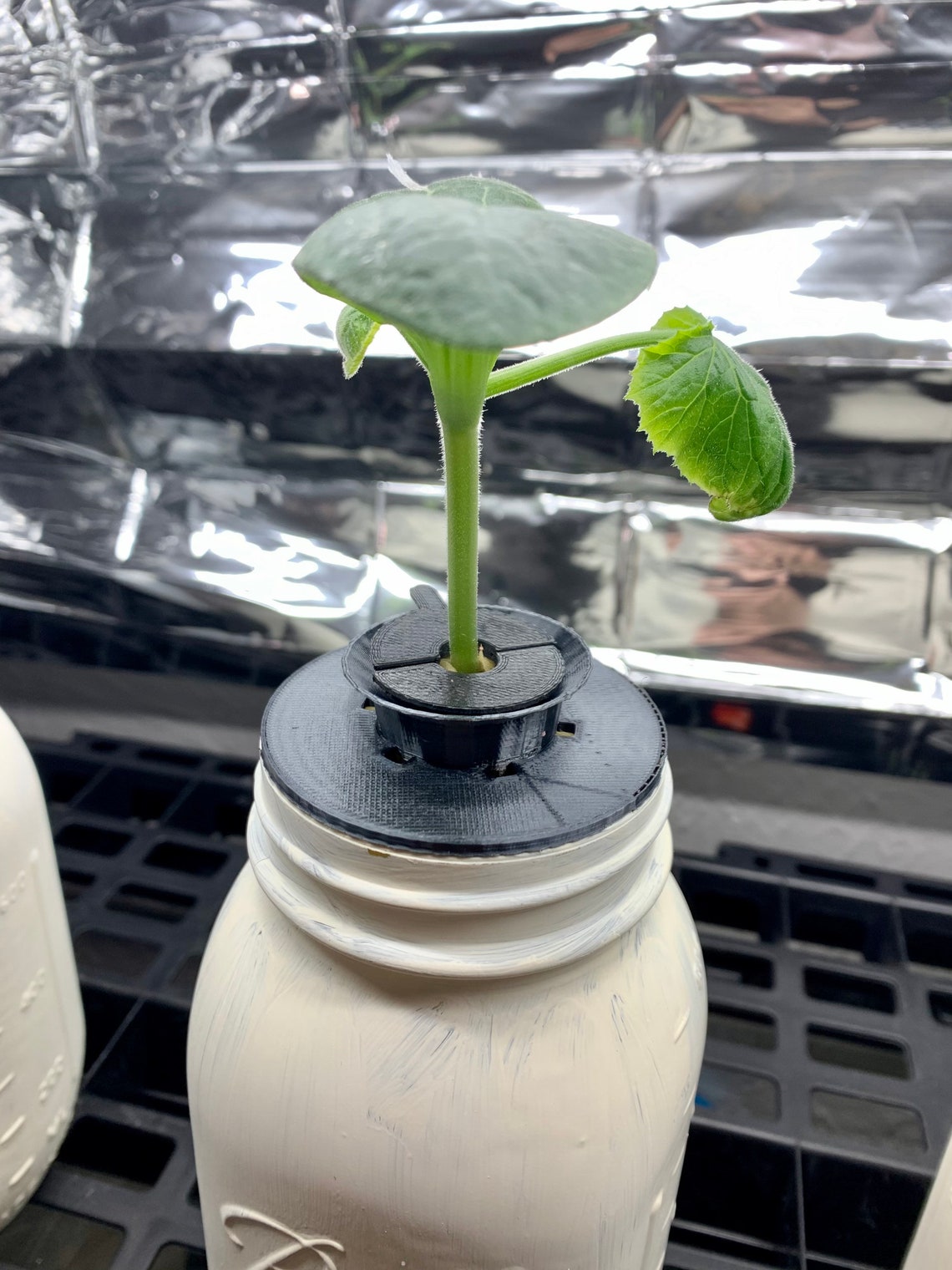 Pod for Hydroponic Gardening with Detachable Lid Etsy