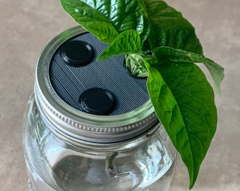 Propagation Station Lid Insert for Regular Mouth Mason Jar