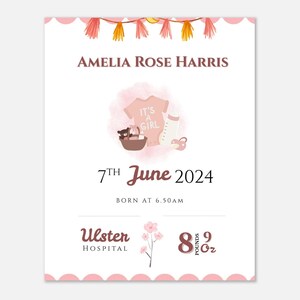 Personalisiertes Baby Mädchen Geburtsposter | Benutzerdefinierte Kinderzimmer Kunst | Einzigartiges Babypartygeschenk | Mattes Papier | Neugeborenes Mädchen | Schwangerschaftsdrucke