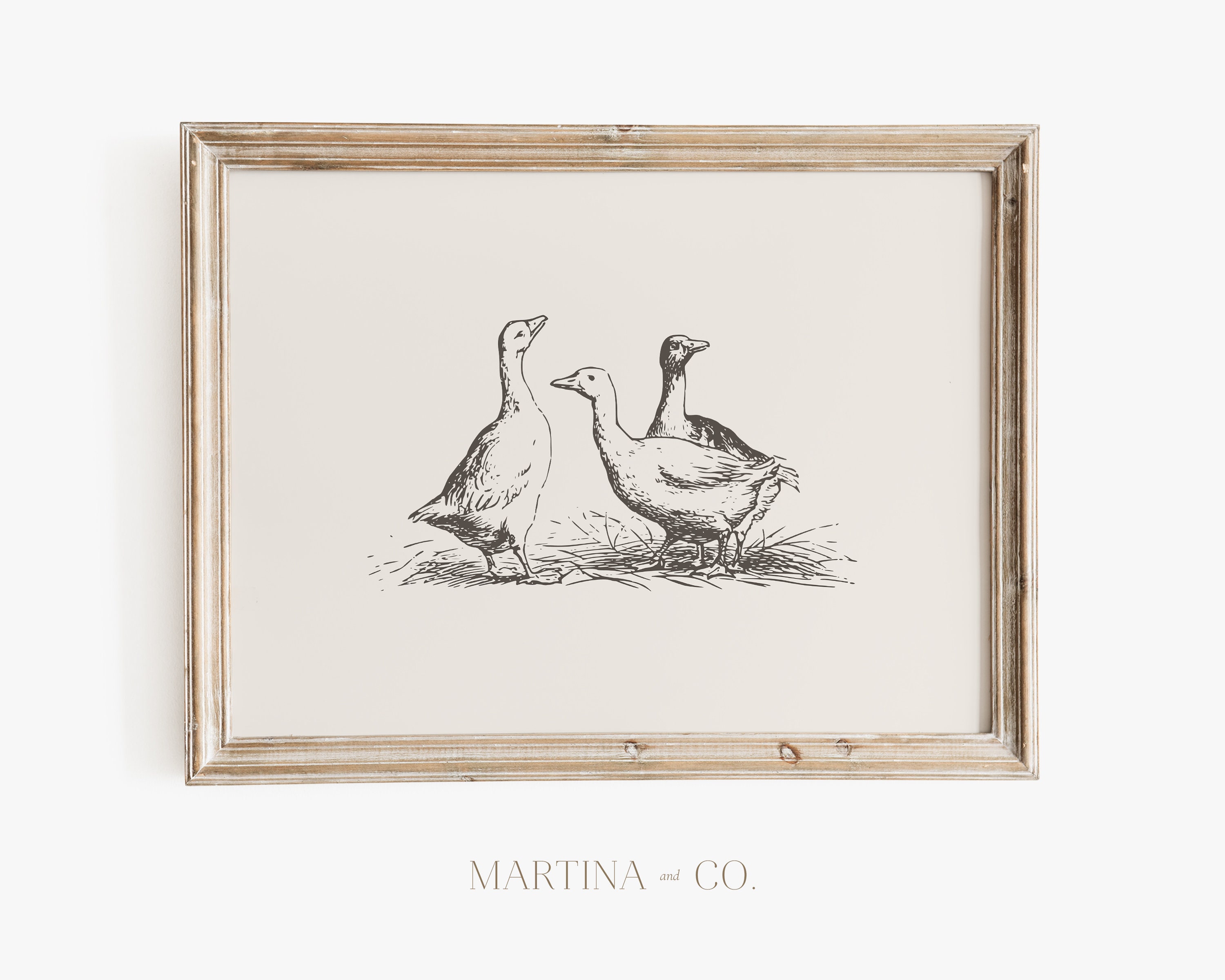 Duck Sketch | Vintage Painting | Digital PRINTABLE Wall Art