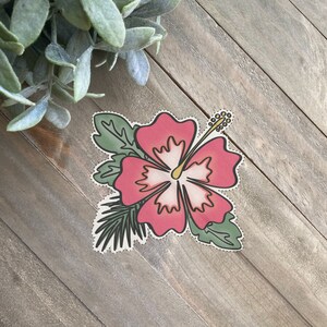 Könnte beinhalten: Eine rosa Hibiskusblüte mit weißem Zentrum und grünen Blättern. Die Blüte ist mit schwarzen Punkten umrandet.
