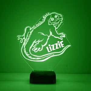 May include: A green night light shaped like an iguana with the name "Lizzie" written underneath.