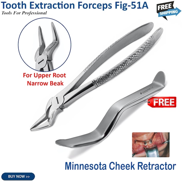 Tooth Extraction Molar Forceps Fig 51A Dental Oral Mouth Retractor Minnesota Surgical Teeth Extracting Instruments