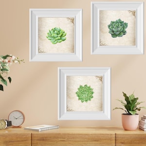 Green Succulent Wall Art, Watercolor Succulents, Botanical Succulents, Wall Art Decor, Succulent Gifts, Wall Art Gifts