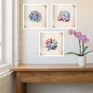 Succulent Plants Wall Art, Watercolor Succulent Prints, Botanical Wall Art, Succulent Plants, Home Decor, Succulent gifts