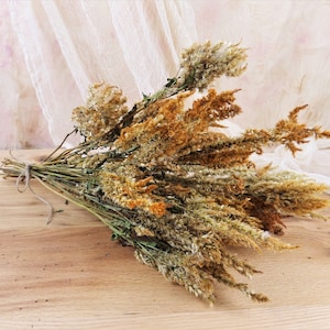 Dried Gold Celosia Plume Stems: Organic Fall Decor, Rustic Wedding