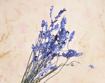 Dried Victoria Blue Salvia Flowers 30-36 Stems Local Sustainable Organic Crafts Wreaths Wedding Flowers Rustic BoHo Country Wild Flowers