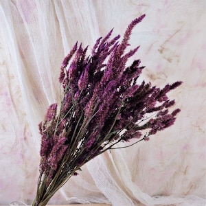 Dried Burgundy Celosia Plume Stems: Organic Rustic Wedding Decor