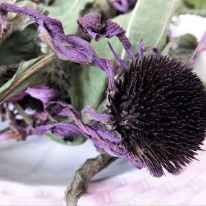 Dried Purple Coneflower: Organic Echinacea Flowers & Leaves for Crafts