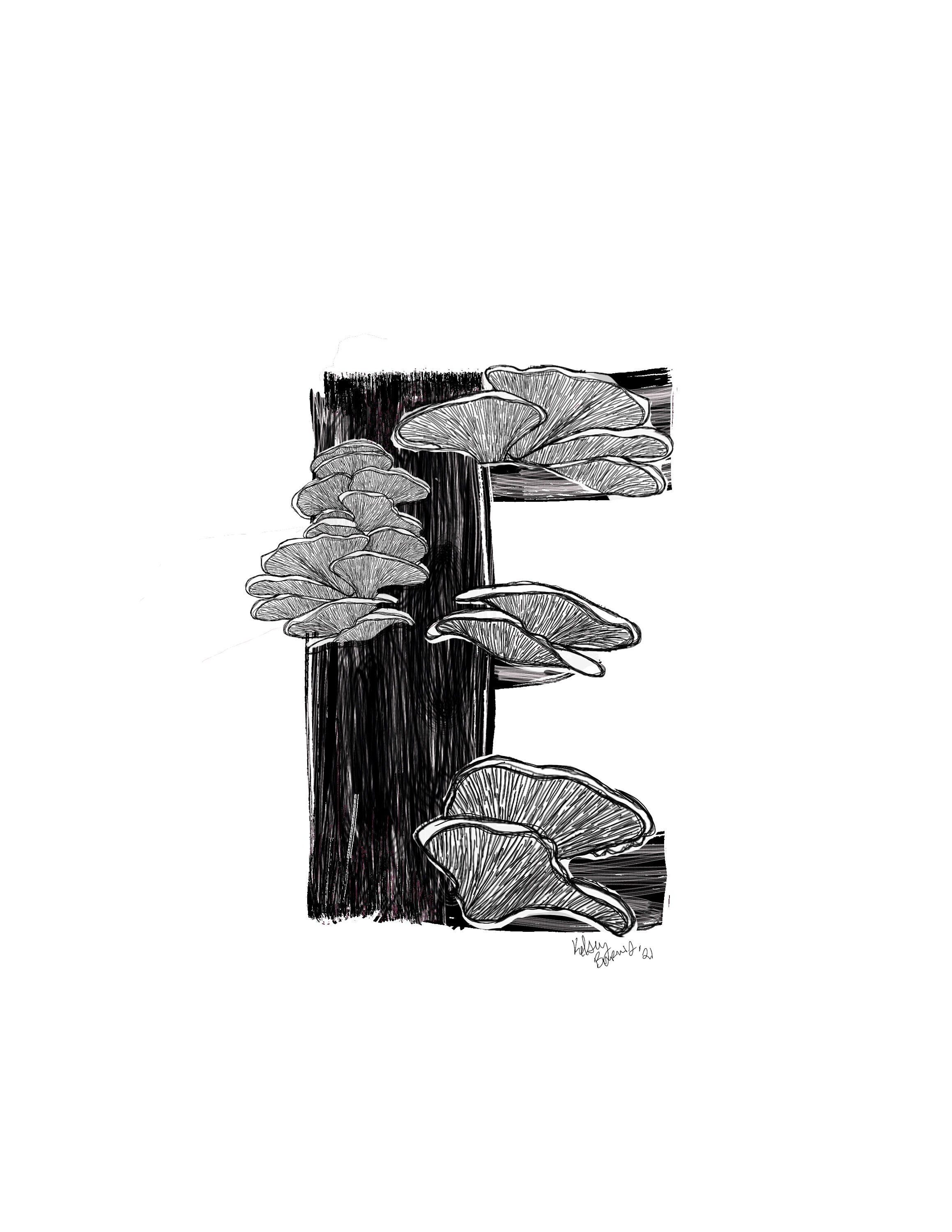 Initial letter illustration E art design alphabet letter Etsy