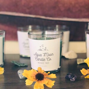8 oz Soy MONEY -Intention Candles healing crystals rituals witchcraft