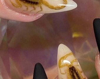 Op de afbeelding: Close-up van een hand met verschillende lange, amandelvormige nagels. Sommige nagels zijn zwart geverfd, terwijl andere een transparante laag hebben met een geconserveerde schorpioen erin.