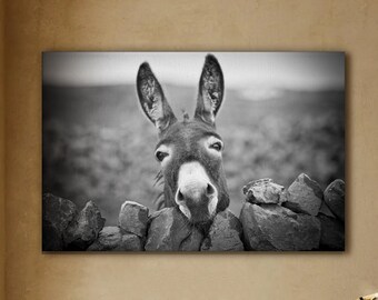 Wood Multisize Wall Decor Artwork Gift For Friend You Smell Like Donkeys Poster 