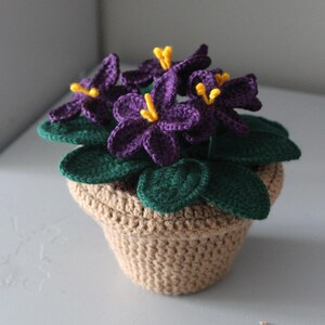 May include: A crocheted purple and yellow African violet plant in a brown crocheted pot.